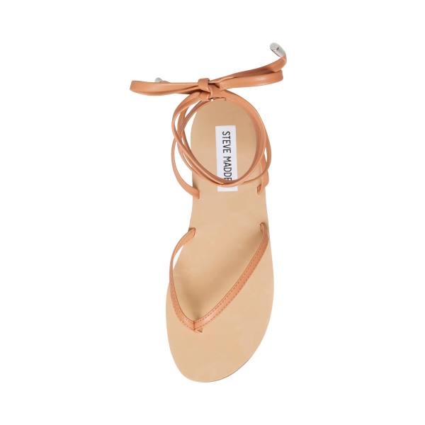 Steve Madden Anna Tan Women's Sandals Brown | SM-823WP