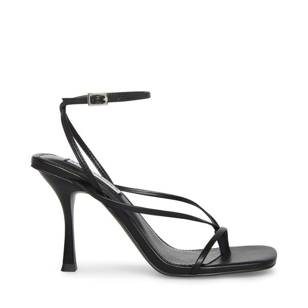Steve Madden Annie Women\'s Heels Black | SM-835OR