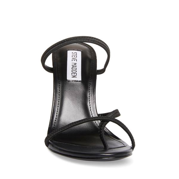 Steve Madden Bellezza Women's Heels Black | SM-250XN