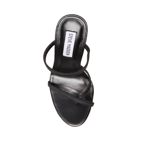 Steve Madden Bellezza Women's Heels Black | SM-250XN