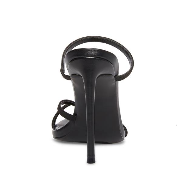 Steve Madden Bellezza Women's Heels Black | SM-250XN