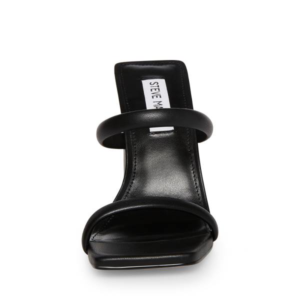 Steve Madden Blake Women's Heels Black | SM-917SZ