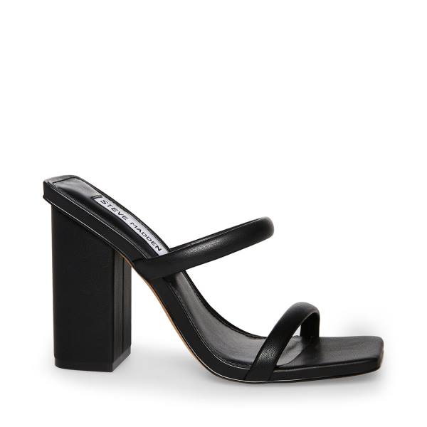 Steve Madden Blake Women\'s Heels Black | SM-917SZ