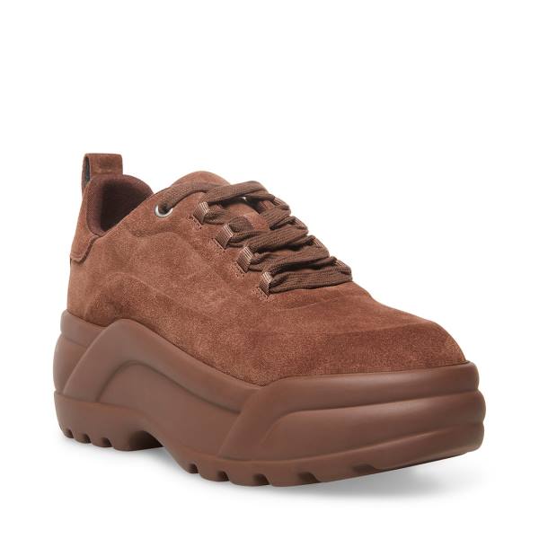 Steve Madden Briggs Suede Women's Sneakers Brown | SM-182EY
