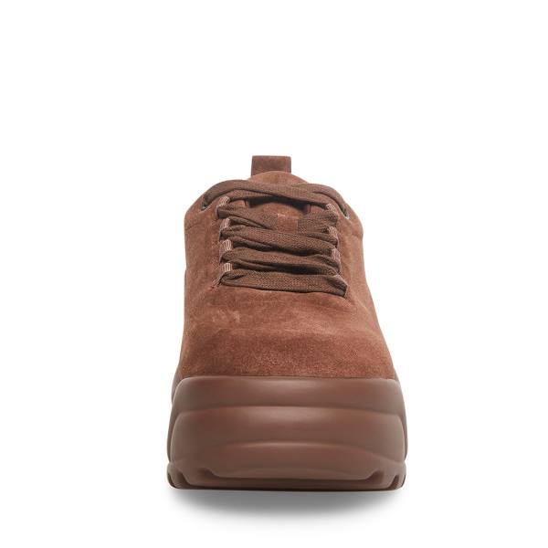 Steve Madden Briggs Suede Women's Sneakers Brown | SM-182EY