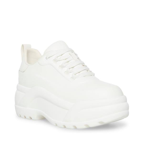 Steve Madden Briggs Women's Sneakers White | SM-267TV