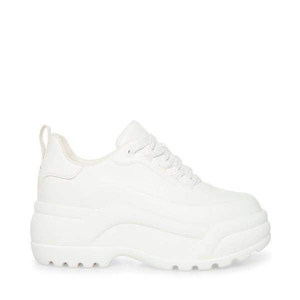 Steve Madden Briggs Women\'s Sneakers White | SM-267TV
