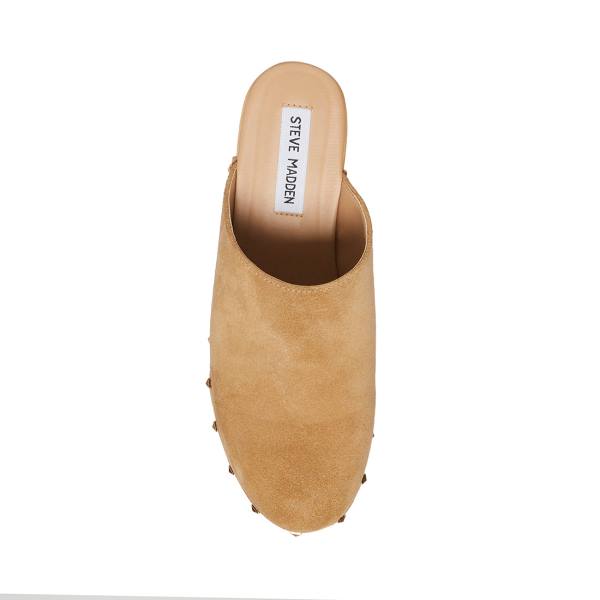Steve Madden Bushwick Taupe Suede Women's Heels Grey Brown | SM-641AT