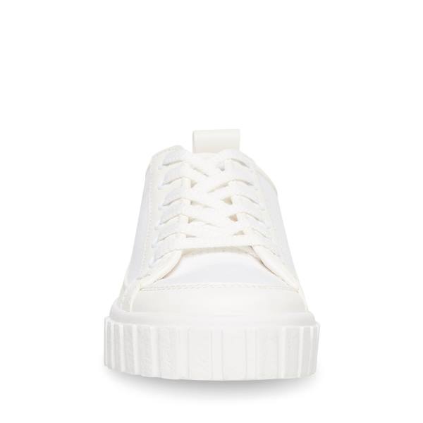 Steve Madden Caleb Women's Sneakers White | SM-904YL
