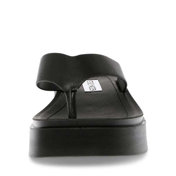 Steve Madden Carlene Women's Sandals Black | SM-892DJ