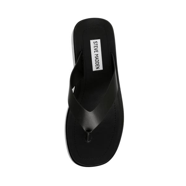 Steve Madden Carlene Women's Sandals Black | SM-892DJ