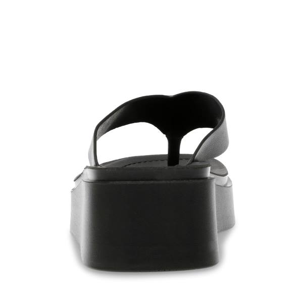 Steve Madden Carlene Women's Sandals Black | SM-892DJ