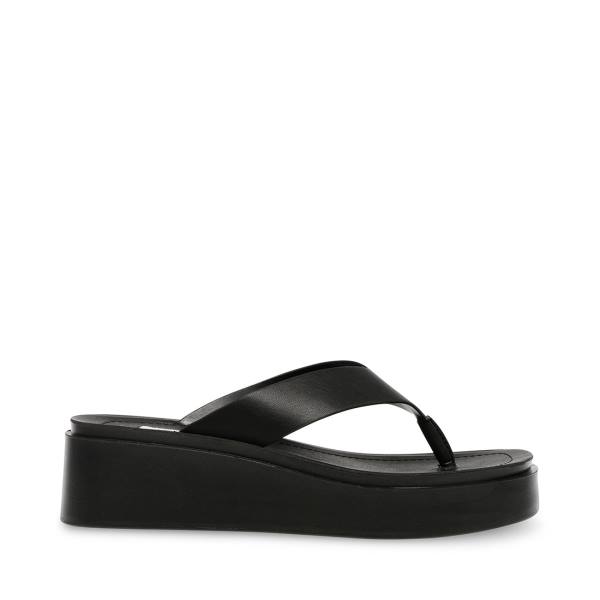 Steve Madden Carlene Women\'s Sandals Black | SM-892DJ