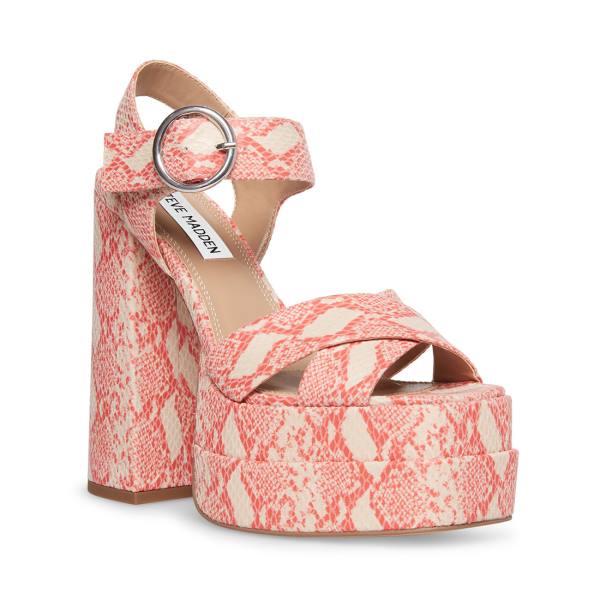 Steve Madden Charmed Women's Heels Pink Multicolor | SM-978WP