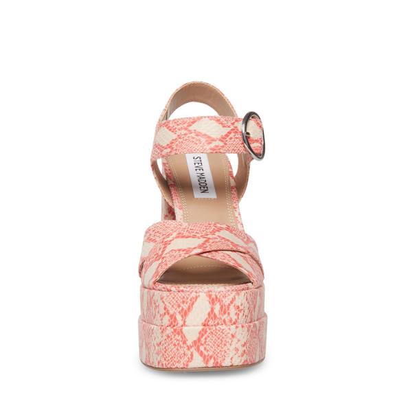 Steve Madden Charmed Women's Heels Pink Multicolor | SM-978WP