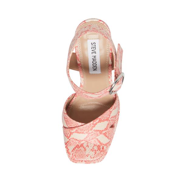 Steve Madden Charmed Women's Heels Pink Multicolor | SM-978WP