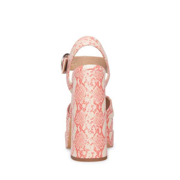 Steve Madden Charmed Women's Heels Pink Multicolor | SM-978WP