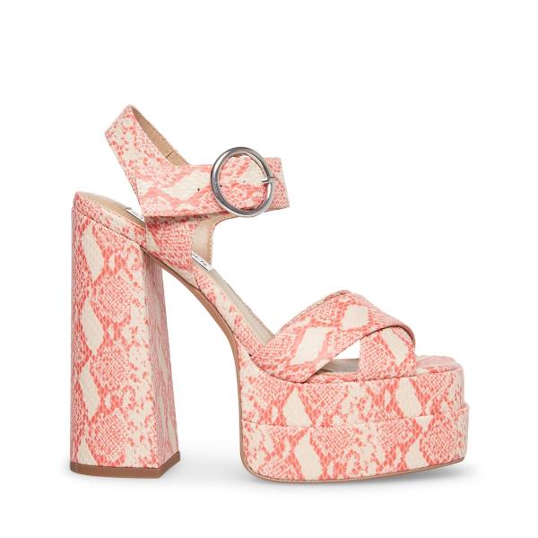 Steve Madden Charmed Women\'s Heels Pink Multicolor | SM-978WP