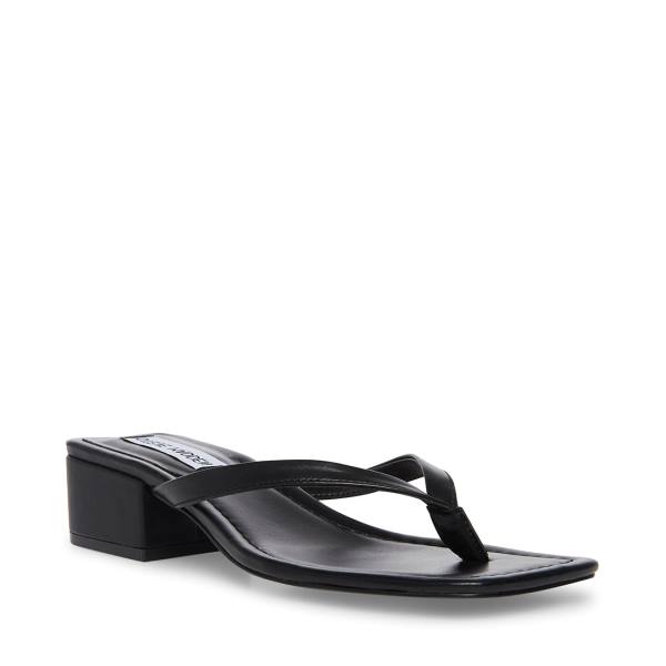 Steve Madden Claudette Women's Sandals Black | SM-409HJ