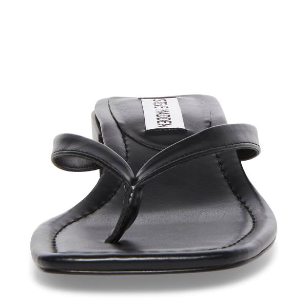 Steve Madden Claudette Women's Sandals Black | SM-409HJ