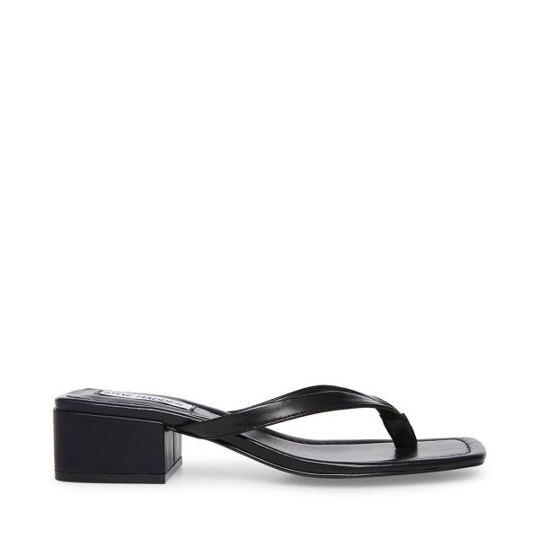 Steve Madden Claudette Women\'s Sandals Black | SM-409HJ