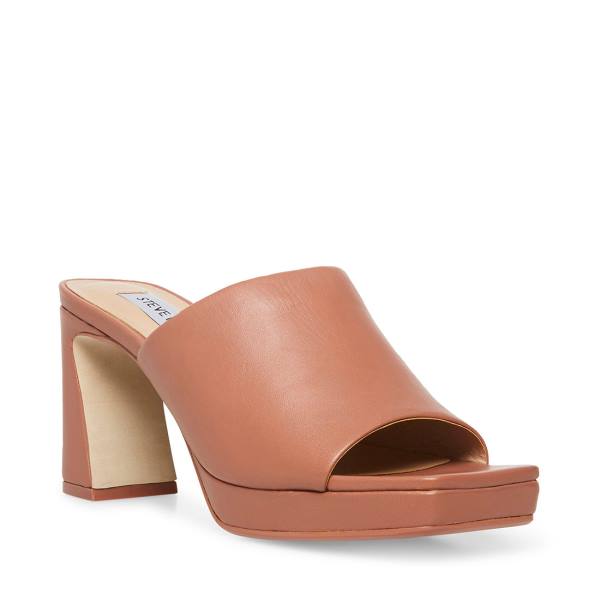 Steve Madden Dedicate Blush Leather Women's Heels Pink | SM-479TV