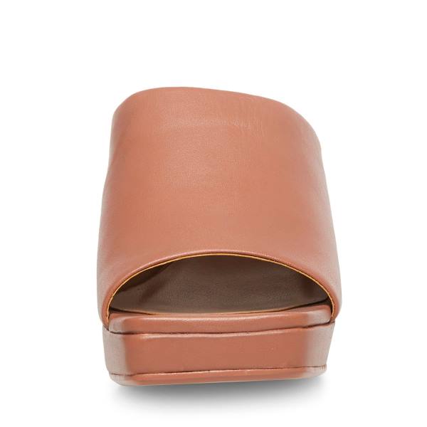 Steve Madden Dedicate Blush Leather Women's Heels Pink | SM-479TV