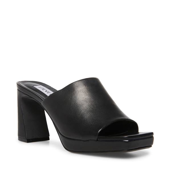 Steve Madden Dedicate Leather Women's Heels Black | SM-182AY