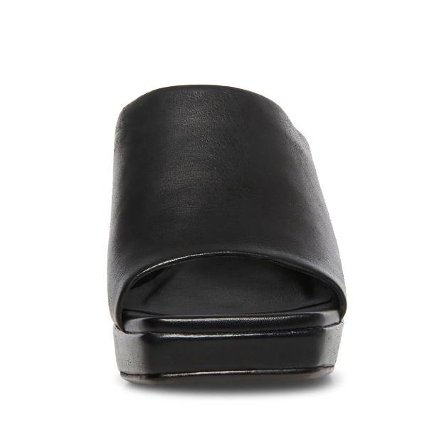 Steve Madden Dedicate Leather Women's Heels Black | SM-182AY
