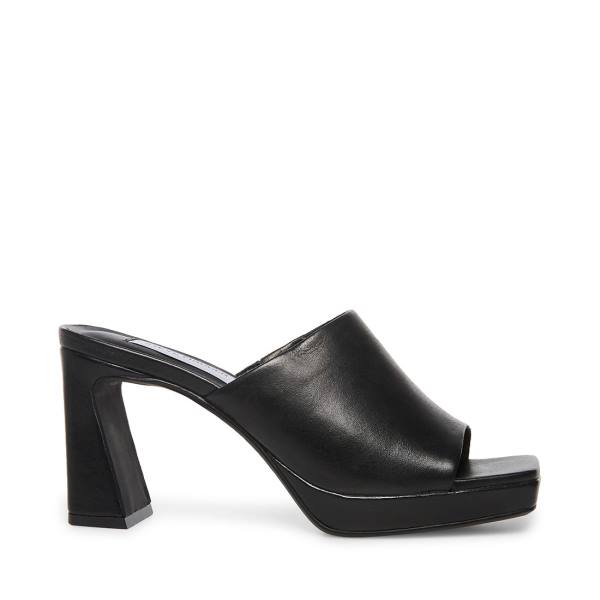 Steve Madden Dedicate Leather Women\'s Heels Black | SM-182AY