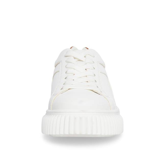 Steve Madden Dillyn Women's Sneakers Brown Multicolor | SM-934WK