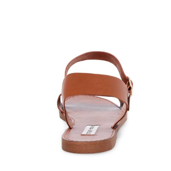 Steve Madden Donddi Tan Leather Women's Sandals Brown | SM-586KN