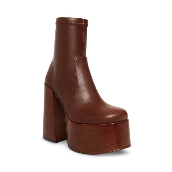 Steve Madden Eve Women's Booties Brown | SM-501UX