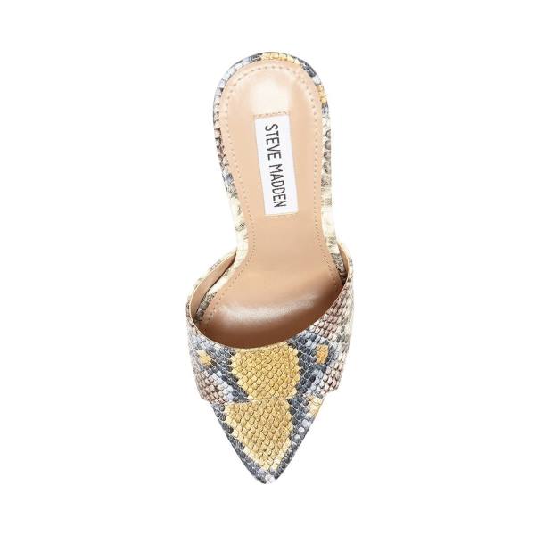 Steve Madden Feisty Snake Women's Heels Snake | SM-453IS