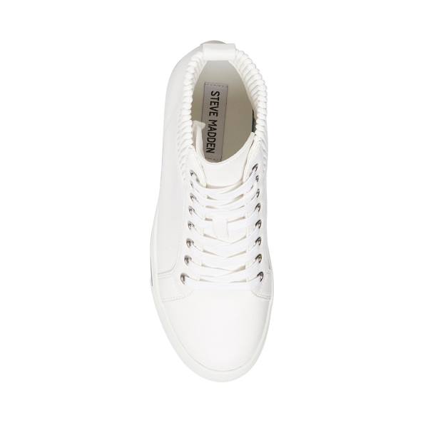 Steve Madden Felix Women's Sneakers White | SM-629TY