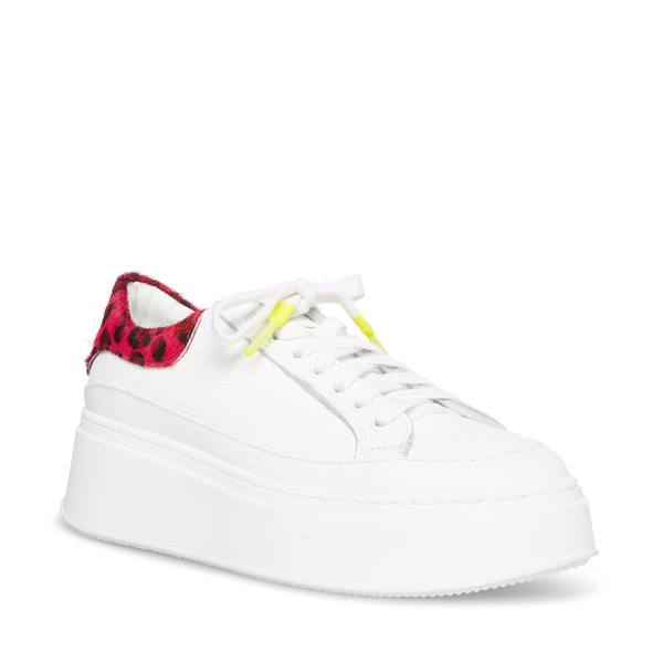 Steve Madden Ibby Fuschia Women's Sneakers White | SM-201YX