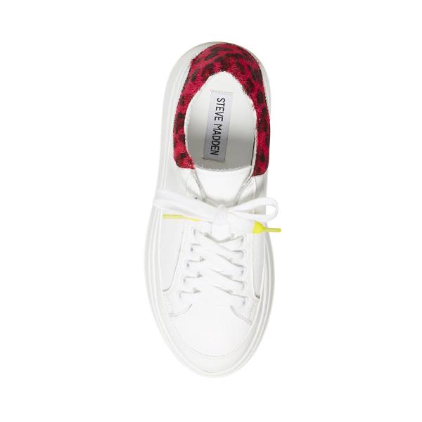 Steve Madden Ibby Fuschia Women's Sneakers White | SM-201YX