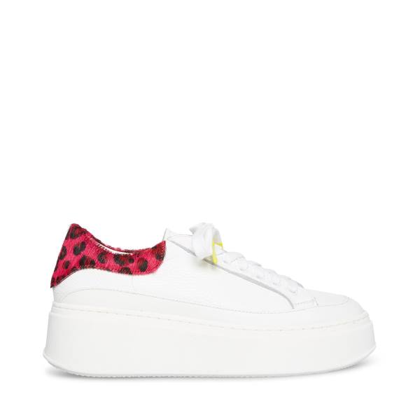 Steve Madden Ibby Fuschia Women\'s Sneakers White | SM-201YX