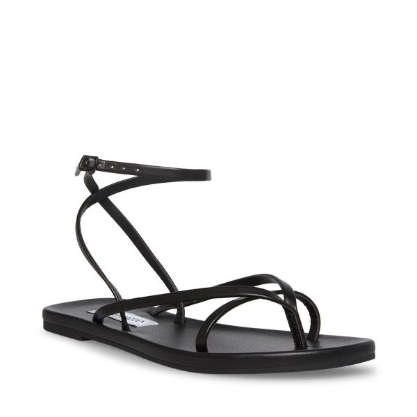 Steve Madden Juno Women's Sandals Black | SM-785ES