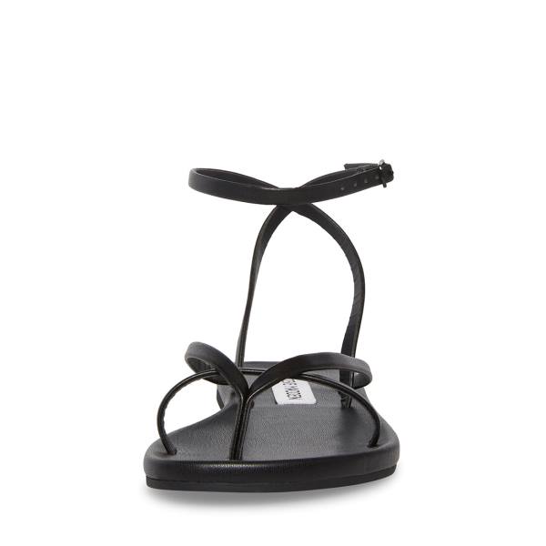 Steve Madden Juno Women's Sandals Black | SM-785ES