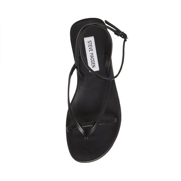 Steve Madden Juno Women's Sandals Black | SM-785ES