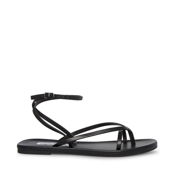 Steve Madden Juno Women\'s Sandals Black | SM-785ES