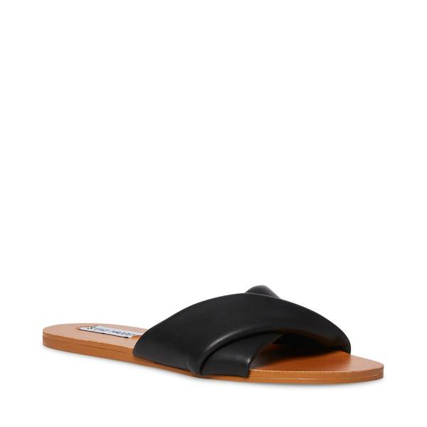 Steve Madden Kendria Women's Sandals Black | SM-682ES
