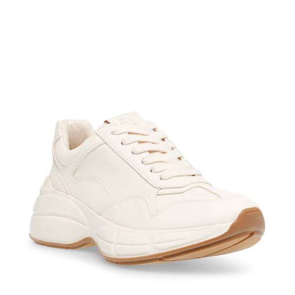 Steve Madden Leader Bone Women's Sneakers Beige | SM-458LP