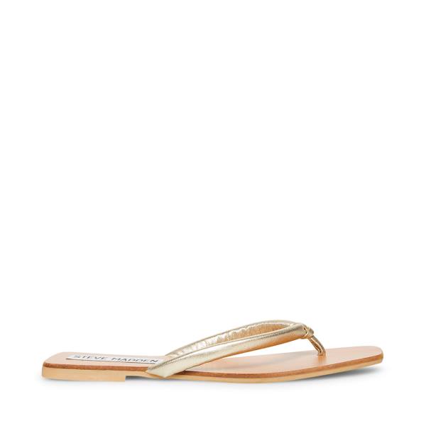 Steve Madden Lighthouse Women\'s Sandals Gold | SM-690MR