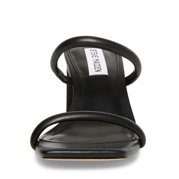 Steve Madden Lilah Women's Heels Black | SM-763QX