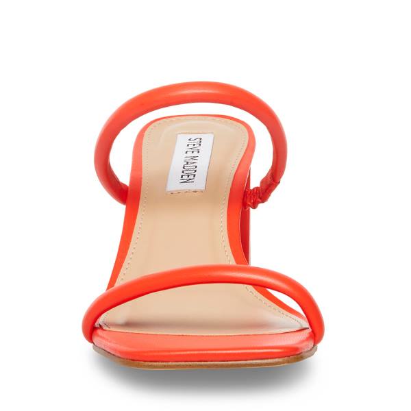 Steve Madden Lilah Women's Heels Red | SM-639TF