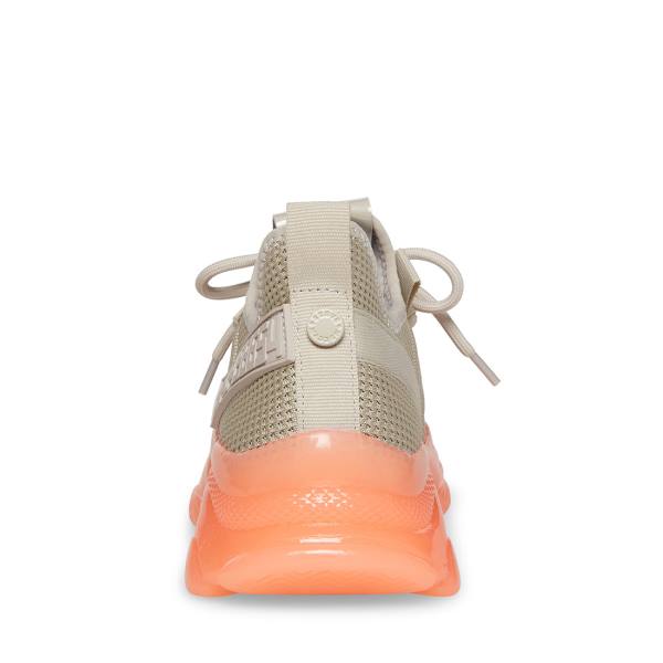 Steve Madden Maxeen Women's Sneakers Grey Multicolor | SM-184EI
