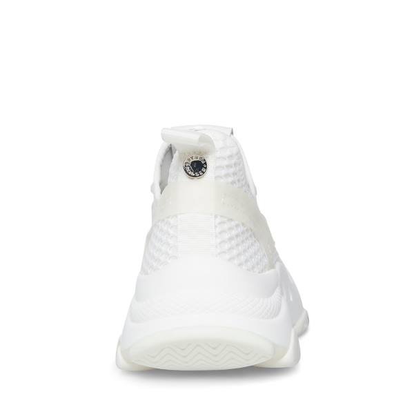 Steve Madden Milo Women's Sneakers White | SM-794UO