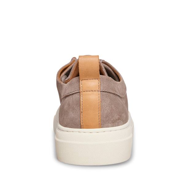 Steve Madden Ryeker Suede Men's Sneakers Grey | SM-284EL